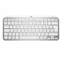 Toetsenbord MX Keys Mini Mac Pale 920-010526 grijs