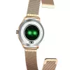 Smartwatch MaxCom FW42 GOLD goud