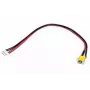 Netbus, ACER Aspire 6920-serie