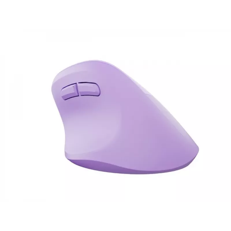 NATEC Crake 2 muis universeel rechtshandigen RF Wireless + Bluetooth optisch 2400 DPI