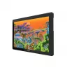 Grafisch tablet Huion Kamvas 22 Plus