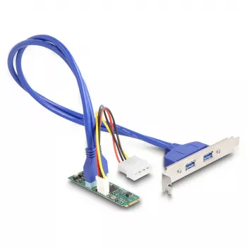 DeLOCK interfacekaarten/-adapters 61065 intern USB 3.2 Gen 1 M.2 stekker