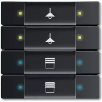 Busch Jaeger tastsensor 4/8-voudig multifunctie 6127/02-885 (6117-0-0220)