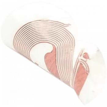 NFC-sticker SCOT NTAG213 18 mm wit, RFID-tag, 10-pack