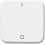 Busch Jaeger 2502-214 wit (1731-0-0884)
