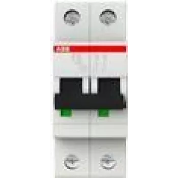 Installatieautomaat 6kA 10A C 2p S202-C10 (2CDS252001R0104)