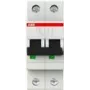 Installatieautomaat 6kA 10A C 2p S202-C10 (2CDS252001R0104)