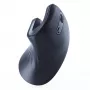 Gembird MUSW-ERGO-03 muis thuis rechtshandig RF draadloos optisch 1600 DPI