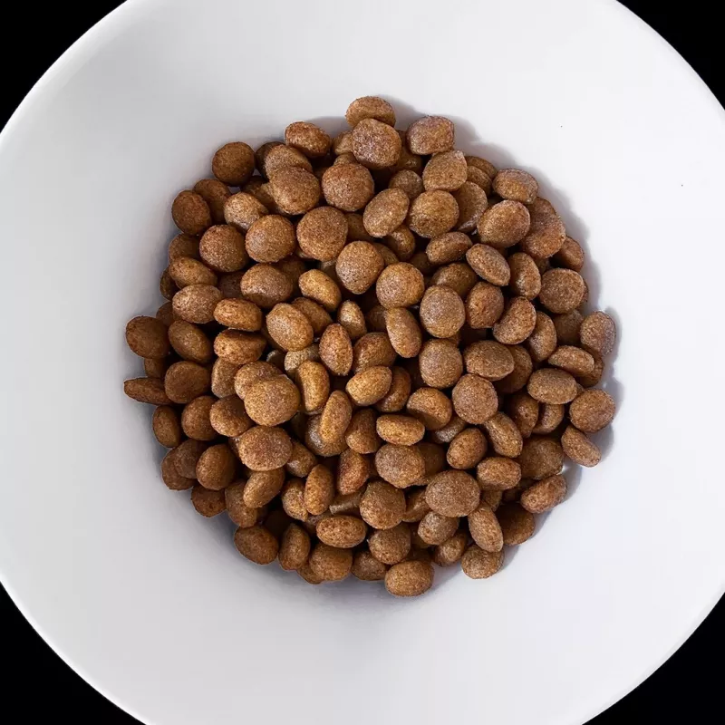 VET RESPONSE Hypoallergenic - droogvoer voor honden - 1,6 kg