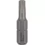 Bosch 2 607 001 615 schroefbit 3 stuks