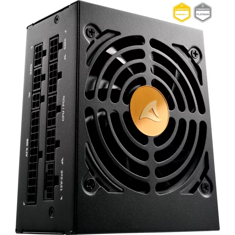 Sharkoon Rebel P20 SFX voeding 850 W 24-pins ATX zwart