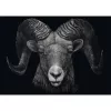Ashley Rader: Dominance - Ram, In het teken van vuur, puzzel 1000 stukjes