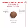 ROYAL CANIN Ageing 15+ droogvoer voor katten – 4 kg