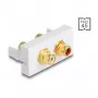 DeLOCK Easy 45 contactdoos 2 x RCA wit ABS