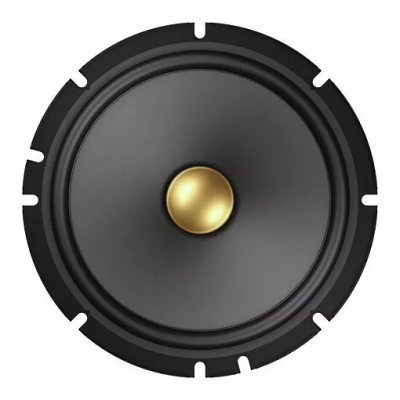 Autoluidspreker Pioneer TS-A1601C 2-weg 350 W 80 W