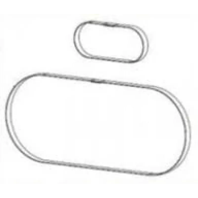 Zebra P1046696-146 printer-/scanner-vervangingsonderdeel/accessoire riem 2 stuks