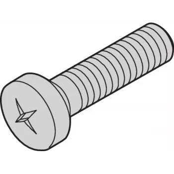 SCHROFF NTS FLKOSCHR.M3X6 SN11 100 stuks (21102024)