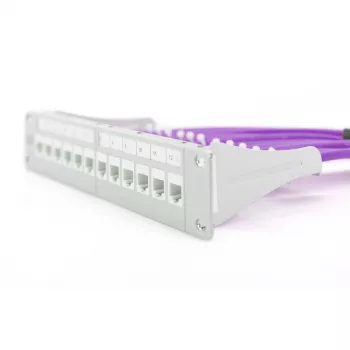 Netwerkkabel Digitus Cat.6 U/UTP 305 m violet