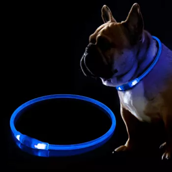 LED-halsband KABB blauw voor honden en katten – oplaadbaar, verstelbare veiligheidshalsband met verlichting
