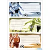 HERMA voetbal zelfklevend etiket rechthoekig permanent meerkleurig 9 stuks