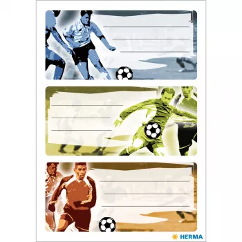 HERMA voetbal zelfklevend etiket rechthoekig permanent meerkleurig 9 stuks