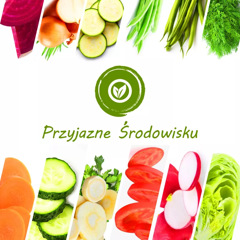 TORAF groentezaden-set - 12-pack