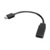 Lenovo 0B47089 videokabel-adapter 0,2 m Mini DisplayPort HDMI zwart