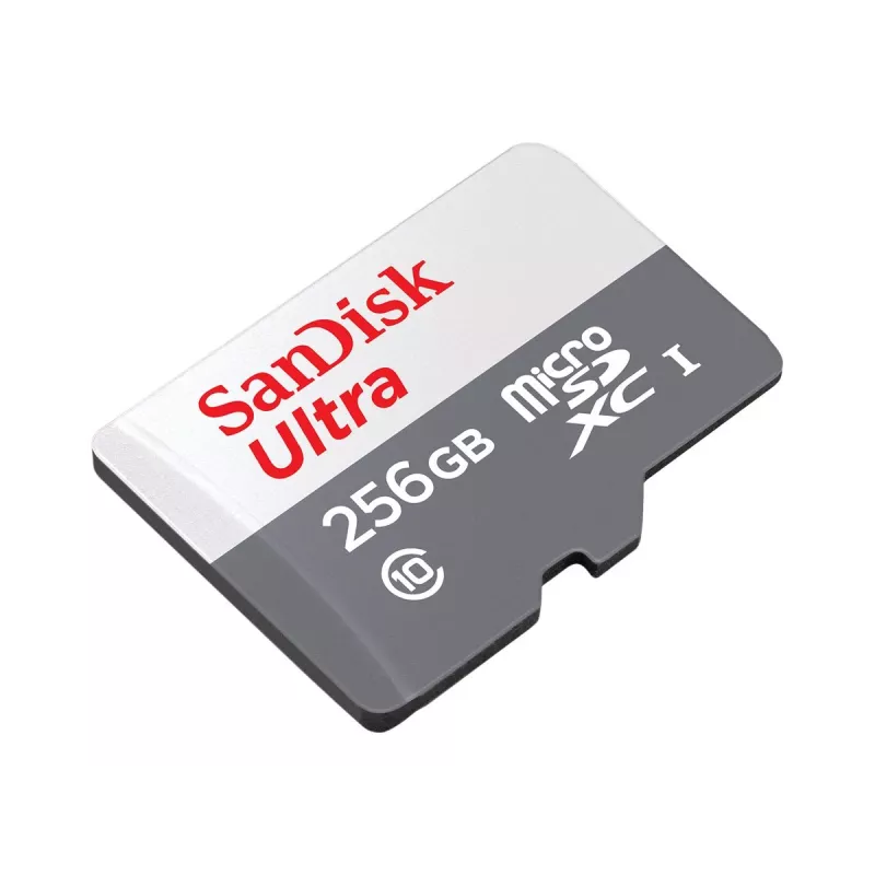 Flashgeheugen SanDisk 256 GB MicroSDXC UHS-I SDSQUNR-256G-GN6TA