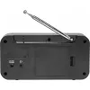 Inter Sales DENVER DAB-42 - draagbare DAB-radio - 1 watt