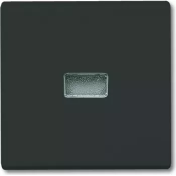 BUSCH JAEGER 2107-35 - zwart - Busch-Jaeger - 70 mm - 70 mm - 1,3 cm - 1 stuk(s)
