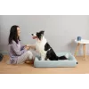 PETKIT | Deep Sleep All Season hondenmand L | groen