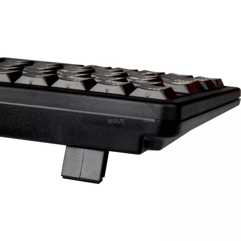CHERRY G84-4100 toetsenbord universeel USB QWERTZ Duits zwart