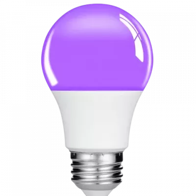 UV-lampen