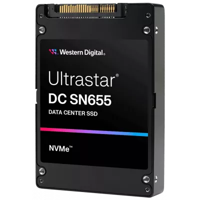 Enterprise-SSD's
