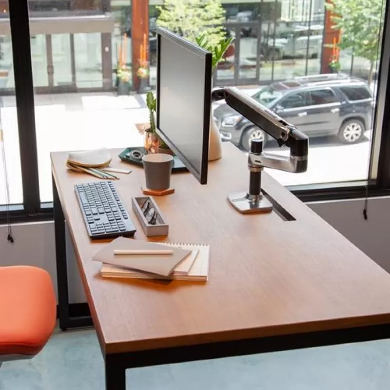 Ergotron LX bureau-monitorarm voor LCD, gepolijst aluminium