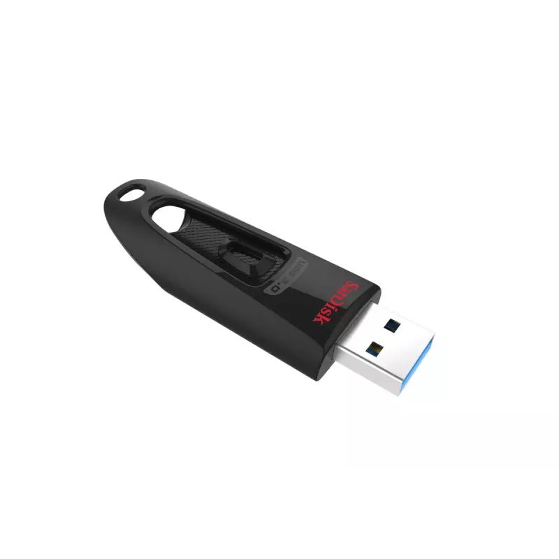 USB-flashdrive SanDisk 32 GB USB Type-A 3.2 Gen 1 zwart