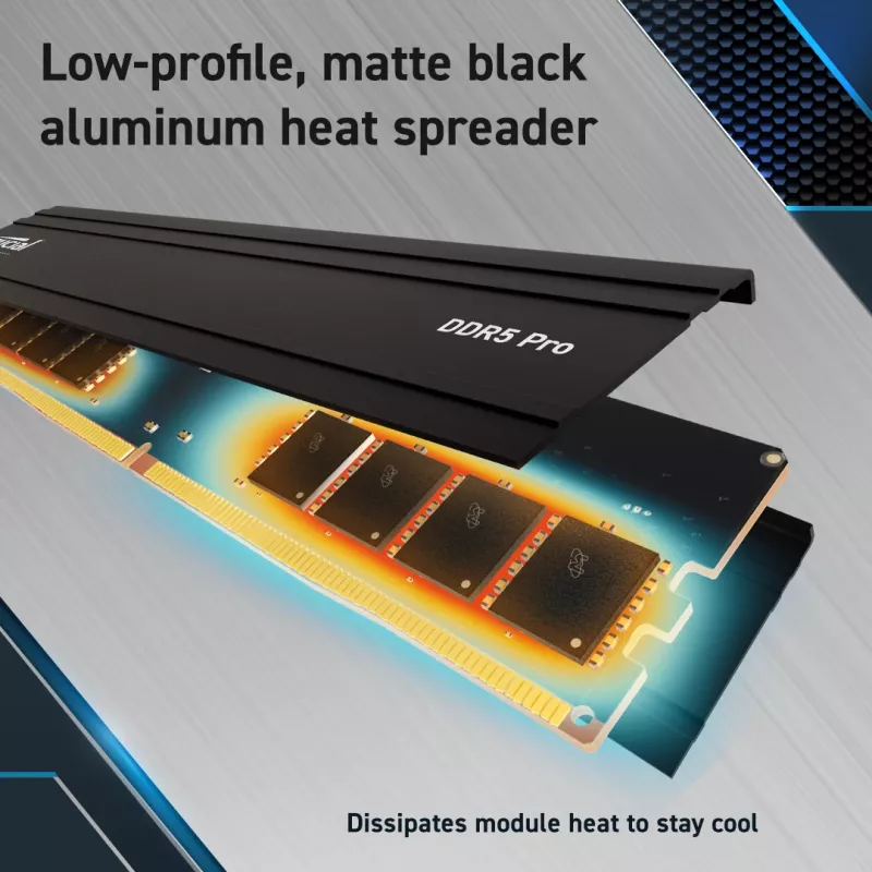 Crucial Pro - DDR5 - module - 48 GB - DIMM 288-PIN low profile