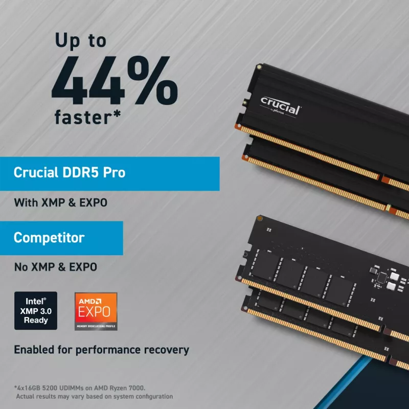 Crucial Pro - DDR5 - module - 48 GB - DIMM 288-PIN low profile