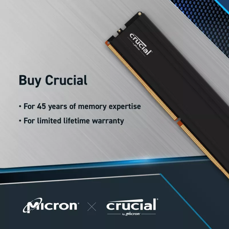 Crucial Pro - DDR5 - module - 48 GB - DIMM 288-PIN low profile