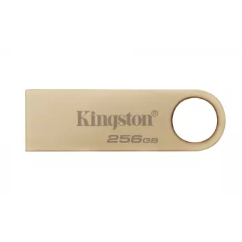 Kingston Technology DataTraveler 256 GB 220 MB/s metal USB 3.2 Gen 1 SE9 G3