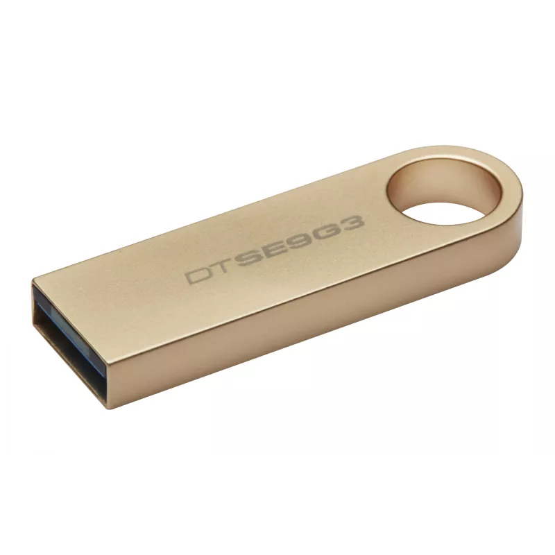 Kingston Technology DataTraveler 256 GB 220 MB/s metal USB 3.2 Gen 1 SE9 G3