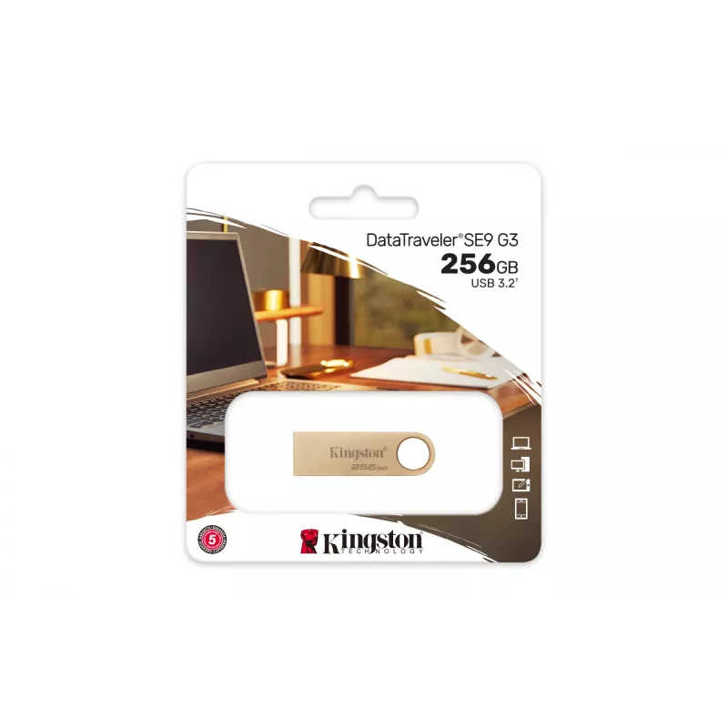 Kingston Technology DataTraveler 256 GB 220 MB/s metal USB 3.2 Gen 1 SE9 G3