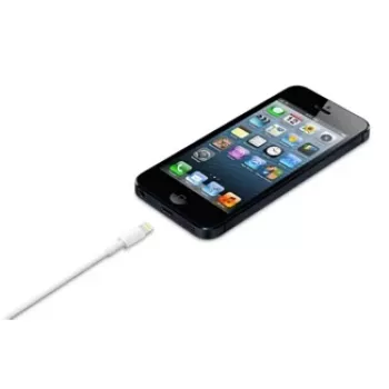 APPLE Lightning-naar-USB-kabel (0.5 M)
