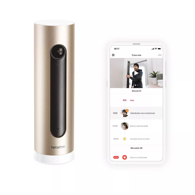 Netatmo Welcome IP-beveiligingscamera binnen 1920 x 1080 pixel tafelmodel