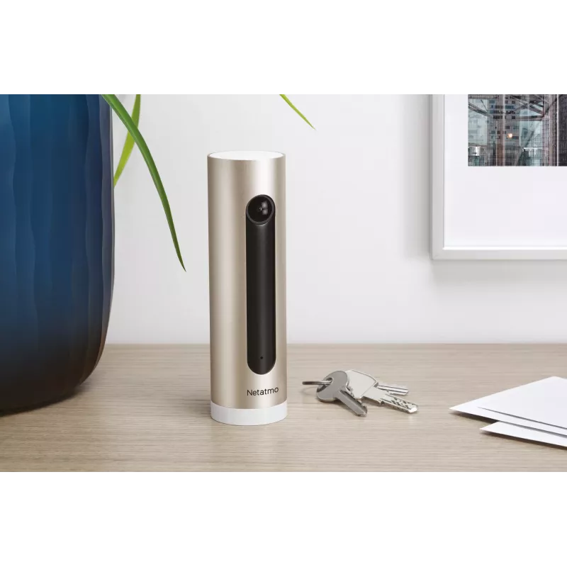 Netatmo Welcome IP-beveiligingscamera binnen 1920 x 1080 pixel tafelmodel