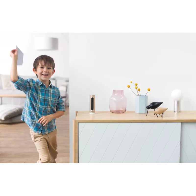 Netatmo Welcome IP-beveiligingscamera binnen 1920 x 1080 pixel tafelmodel