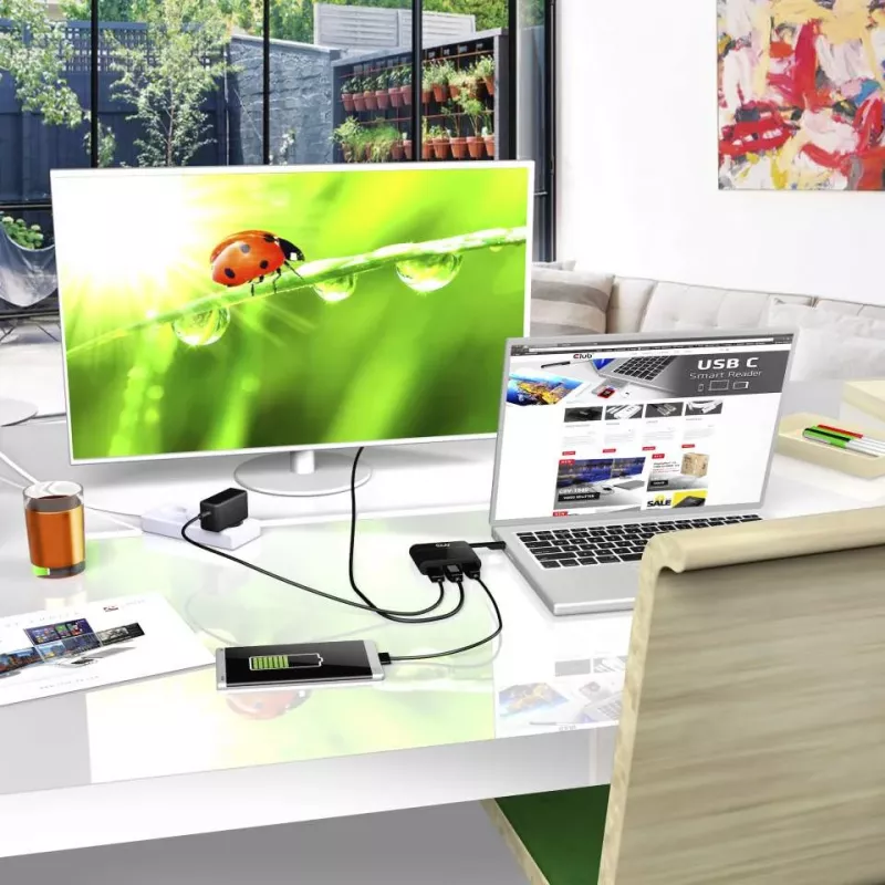 CLUB3D USB Type-C naar VGA + USB 3.0 + USB Type-C opladen mini dock