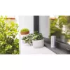 Netatmo NWS01-EC digitaal weerstation aluminium batterij/USB Wi-Fi