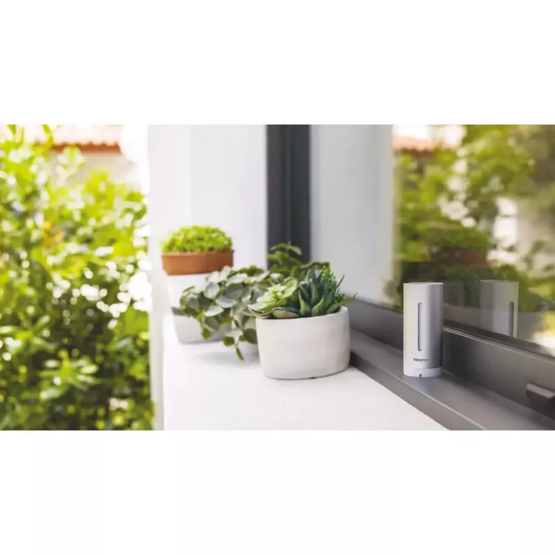Netatmo NWS01-EC digitaal weerstation aluminium batterij/USB Wi-Fi