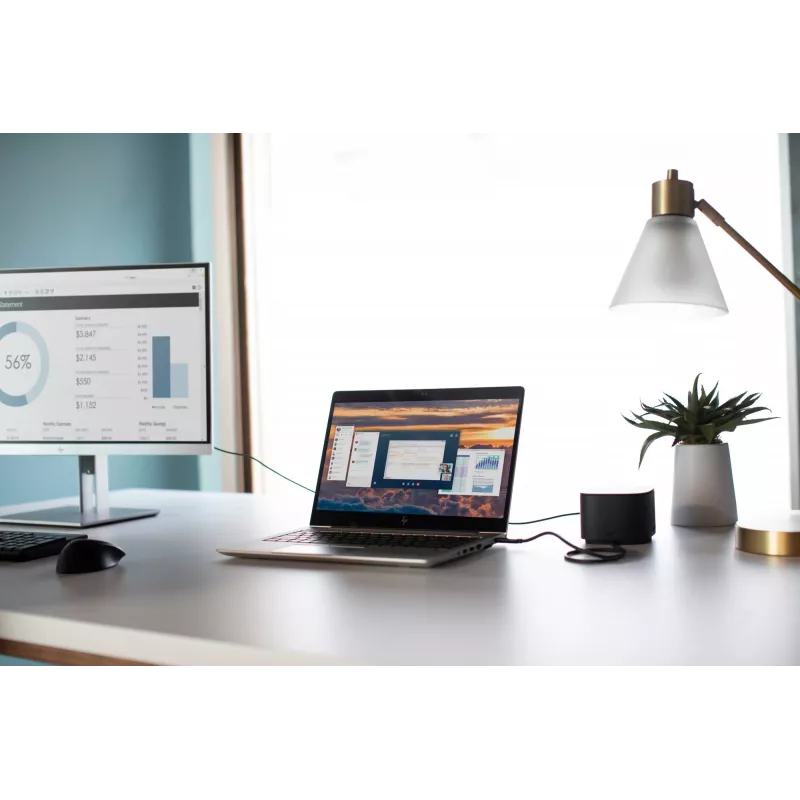 HP USB-vingerafdrukmuis, voor beide handen, USB Type-A, zwart